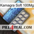 Kamagra Soft 100Mg 34